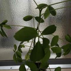 NO5様 返品用のサムネイル