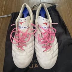 レビュラジャパン26.5のサムネイル