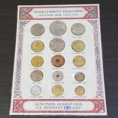 m45181888694_1.jpg?1740888291