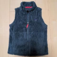 Patagoniaのサムネイル