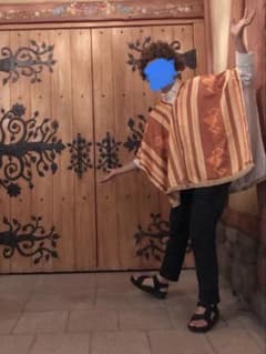 【Dハロ】ENCANTO カミロのサムネイル