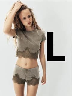 10日0時まで値下中⭐︎ZARA クロップド丈 レーストリム Tシャツ レース