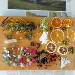 訳ありドライフラワー花材　27　ボタニカルキャンドル商品説明必読❗ドライフルーツのサムネイル