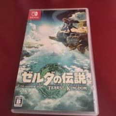 젤다의 전설 TEARS OF THE KINGDOM