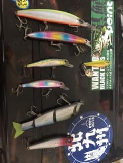 シーバス ルアーのサムネイル