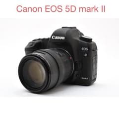 デジタル一眼レフカメラ Canon EOS 5D mark II標準レンズセット - メルカリ