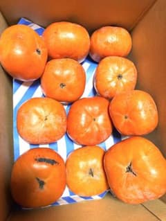 大きめ次郎柿 キズあり２０個　箱込５キロのサムネイル