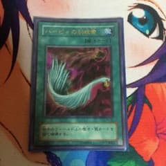 ハーピィの羽根箒 ウルトラのサムネイル