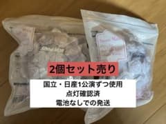 SnowMan 1st Stadium Live ペンライト 2つセットのサムネイル