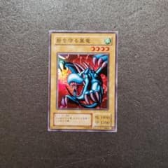 遊戯王カード スーパーレア 砦を守る翼竜 EX-03 ホログラムあり - メルカリ