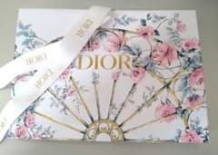 Dior ショッパー 14cm×19cm×マチ7.5cmのサムネイル