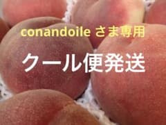 山梨一宮の甘い桃　特大6個詰めて発送　美味しいょ 山梨一宮の甘い桃 特大6個詰め発送 美味しいょ 限定数箱 今だけ ももや