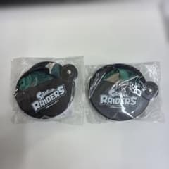 Splatoon Raiders Purchase Bonus (2 items)