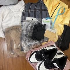 UPWさま専用【ウィッグ靴付き】ブルーアーカイブ 十六夜ノノミ