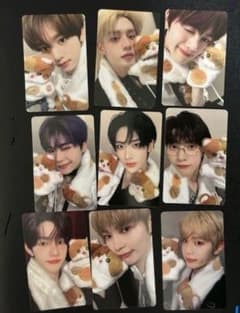 zb1 一直娱 yizhiyu ねこ 特典トレカ 9枚コンプセット - メルカリ