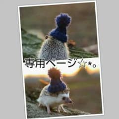 ▽ れおん様  専用 ページ   ピンキーver.▽のサムネイル
