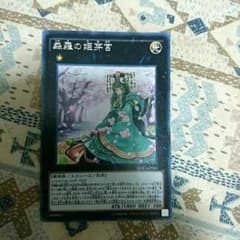 森羅の姫芽宮のサムネイル