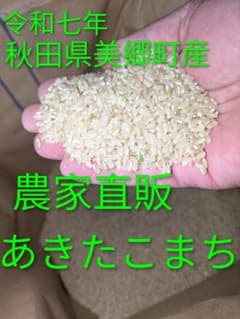 令和７年秋田県美郷町産あきたこまち10kg 令和7年秋田県美郷町産あきたこまち10kg - メルカリ