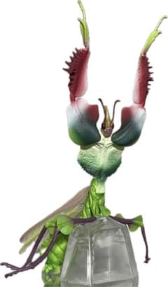 A상 니세하나마 오우카마키리 이치반 복권 곤충 세계의 곤충 대규모