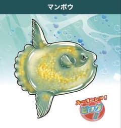 【未使用】　くじらアタック&co. アンドコ　マンボウのサムネイル