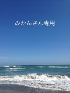 ブッタとシッタカブッタ 3のサムネイル