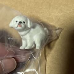 ふんばり〜ぬ3のサムネイル
