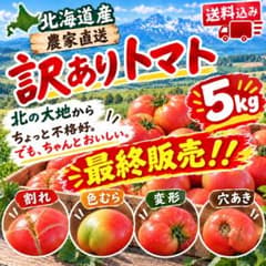 北海道産 農家直送　トマト 訳あり　5kg(箱込みの重さ)のサムネイル