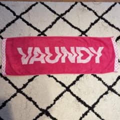 Vaundy ライブ タオル ピンクのサムネイル