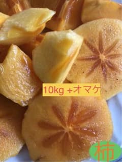 柿　たねなし柿　ひらたね柿　和歌山橋本 10Kg＋オマケ柿のサムネイル