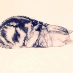 ラス吉ベイベー様専用のサムネイル