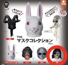 Theマスクコレクションのサムネイル