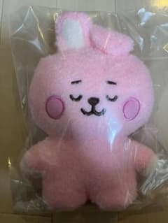 BT21 BABY 네톤 봉제인형 S COOKY