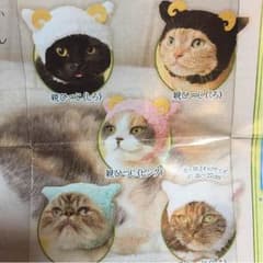 さち1022様 ねこひつじちゃんのサムネイル