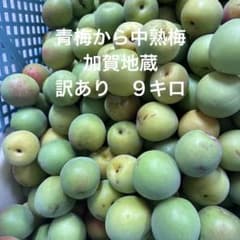 青梅から中熟完熟　加賀地蔵　訳あり　９キロのサムネイル