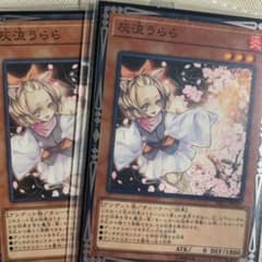 遊戯王 灰流うらら ノーマルのサムネイル
