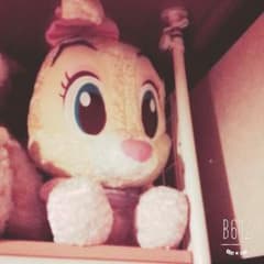 ぬいぐるみのサムネイル