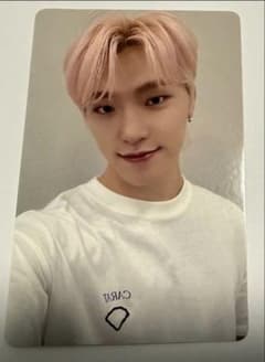 seventeen fml yzy 中華 中国 ヨントン　トレカ SEVENTEEN FML 一直娯 yzy 中国 ヨントントレカ D ディノ - メルカリ