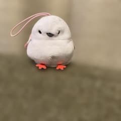 シマエナガ ぎゅっぽてペレットぷち キーホルダー
