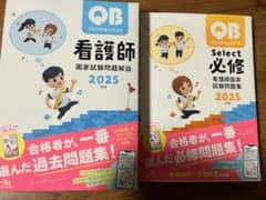 看護師国家試験過去問題集・必修問題集セット 2025 QBのサムネイル