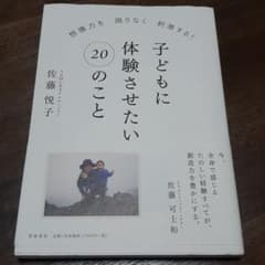 子どもに体験させたい20のこと : 想像力を限りなく刺激する!のサムネイル