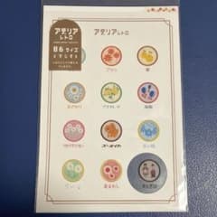 アデリアレトロ B6サイズ 下敷き 新品 未使用