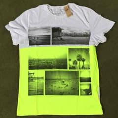 Style様専用。 アメリカンイーグル Tシャツのサムネイル