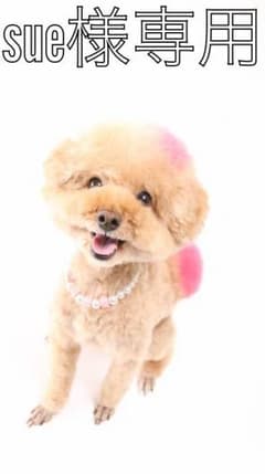sue様 専用のサムネイル