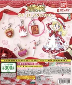 明日のナージャ めじるしアクセサリー　ナージャの日記帳のサムネイル