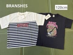 新品 2枚セット 半袖Tシャツ 120 男の子 学校 洗い替え ブランシェスのサムネイル