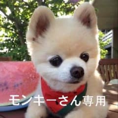 モンキーさん専用のサムネイル