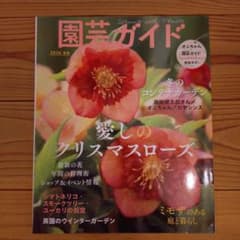 園芸ガイド 愛しのクリスマスローズのサムネイル