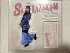 ローソンくじ 櫻坂46 アクリルスタンド 松本和子のサムネイル