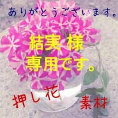 結実様　専用です。　押し花素材のサムネイル