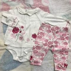 コアラベビー 70㎝のサムネイル